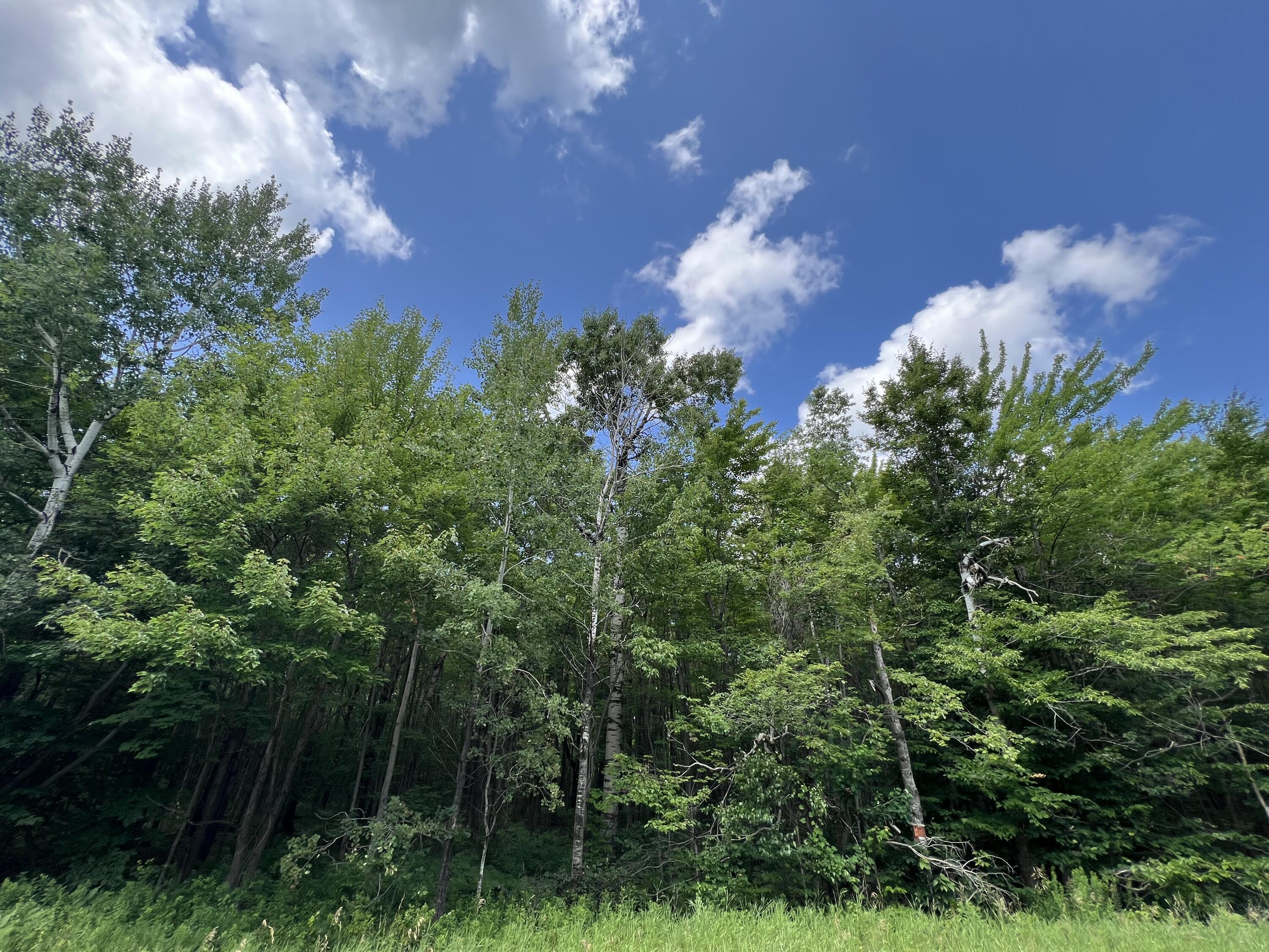 . Soucia Road Churubusco NY 12923