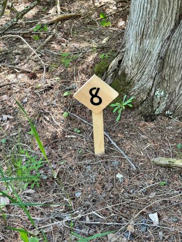 0 Mellow Way (Lot #8) Wilmington NY 12997