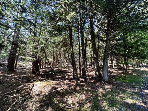 0 Mellow Way (Lot #8) Wilmington NY 12997