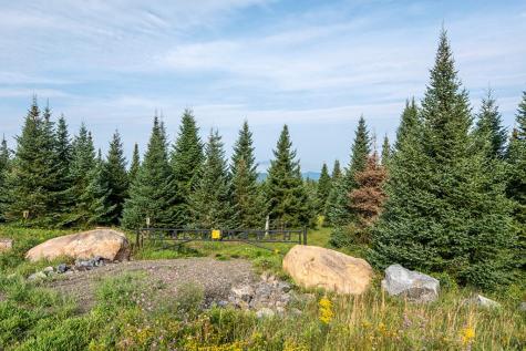 412 Harrietstown Road Saranac Lake NY 12939