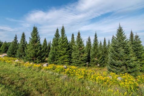 412 Harrietstown Road Saranac Lake NY 12939