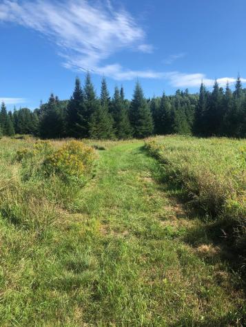 412 Harrietstown Road Saranac Lake NY 12939