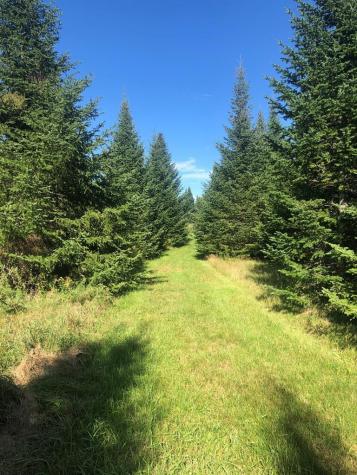 412 Harrietstown Road Saranac Lake NY 12939