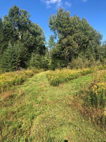 412 Harrietstown Road Saranac Lake NY 12939