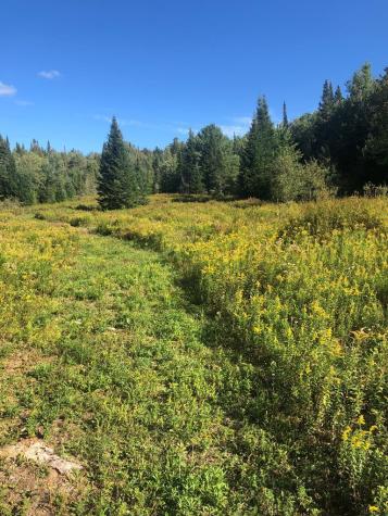 412 Harrietstown Road Saranac Lake NY 12939