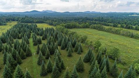 412 Harrietstown Road Saranac Lake NY 12939