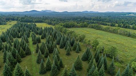 412 Nys Route 86 Saranac Lake NY 12983