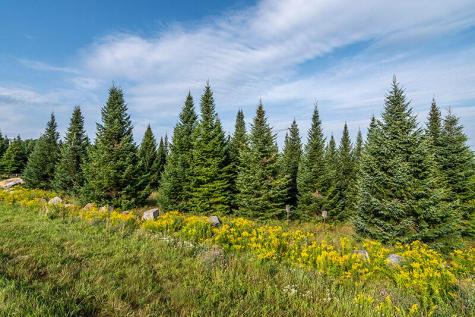 412 Nys Route 86 Saranac Lake NY 12983