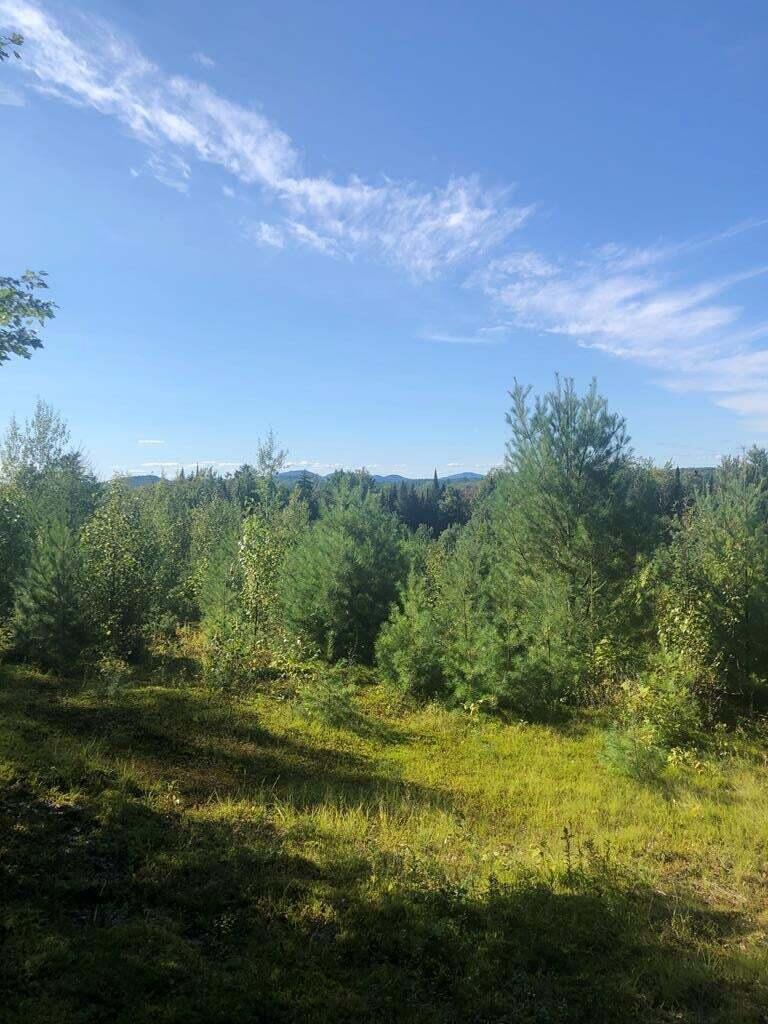 1340 Nys Route 86 Saranac Lake NY 12983