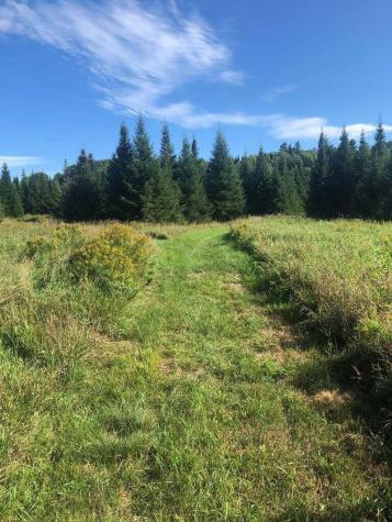 412 Nys Route 86 Saranac Lake NY 12983