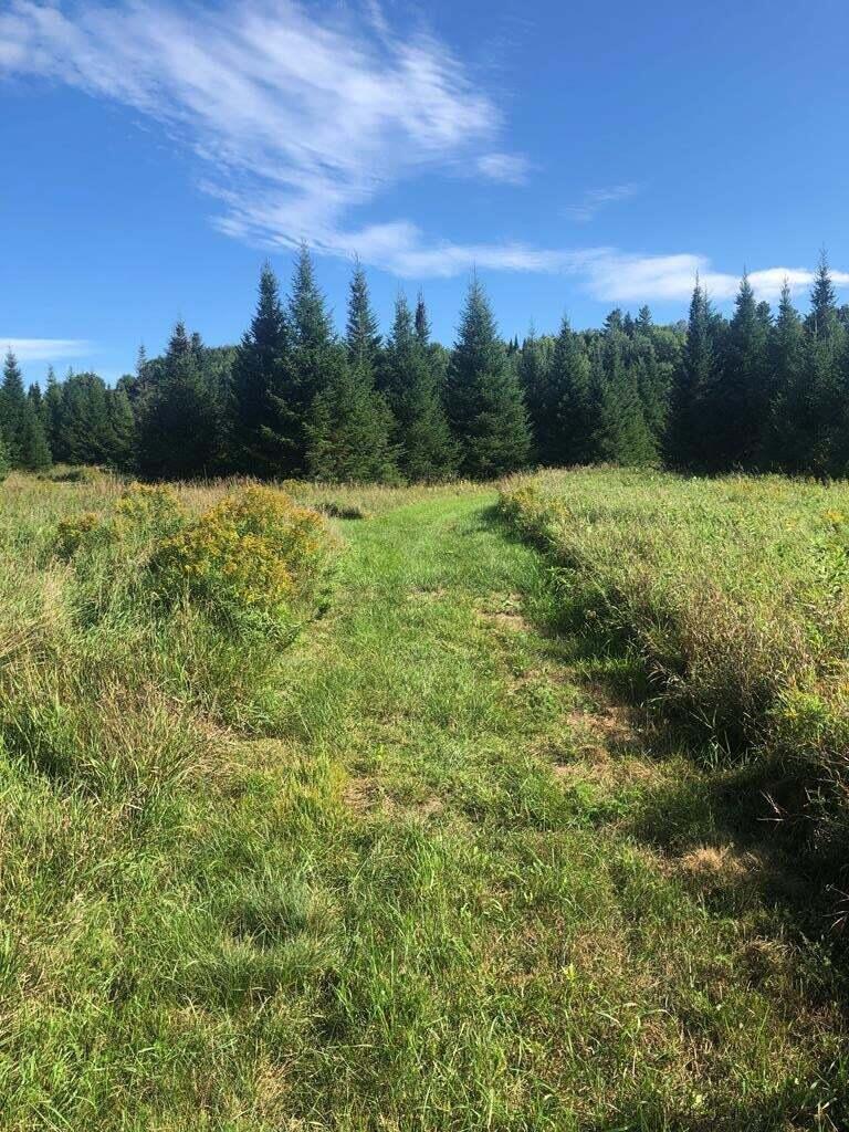 1340 Nys Route 86 Saranac Lake NY 12983