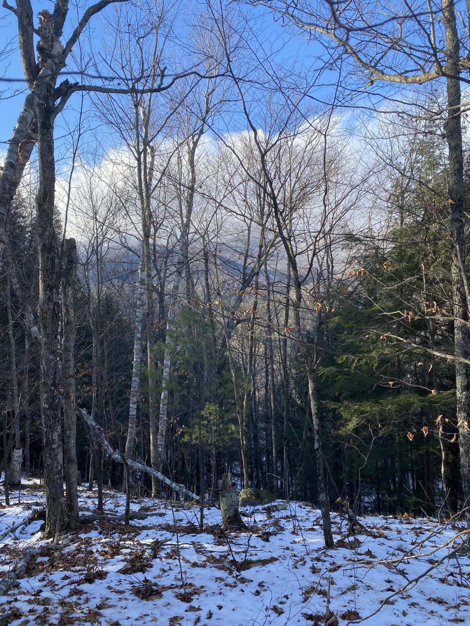 Xxx Scriver Lane Elizabethtown NY 12932