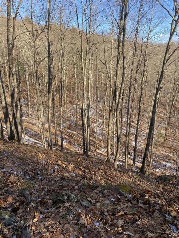 Xxx Scriver Lane Elizabethtown NY 12932