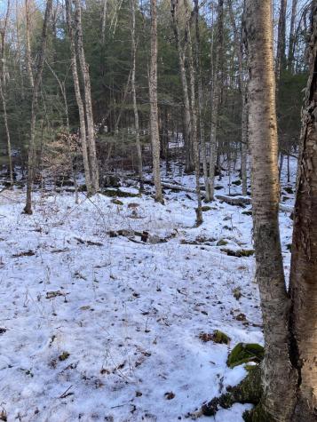 Xxx Scriver Lane Elizabethtown NY 12932