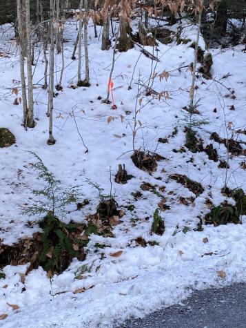 Xxx Scriver Lane Elizabethtown NY 12932