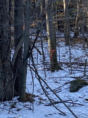 Xxx Scriver Lane Elizabethtown NY 12932