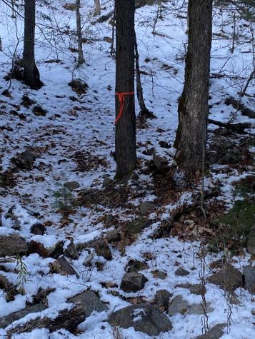 Xxx Scriver Lane Elizabethtown NY 12932