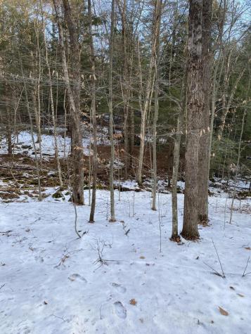 Xxx Scriver Lane Elizabethtown NY 12932