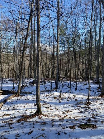 Xxx Scriver Lane Elizabethtown NY 12932