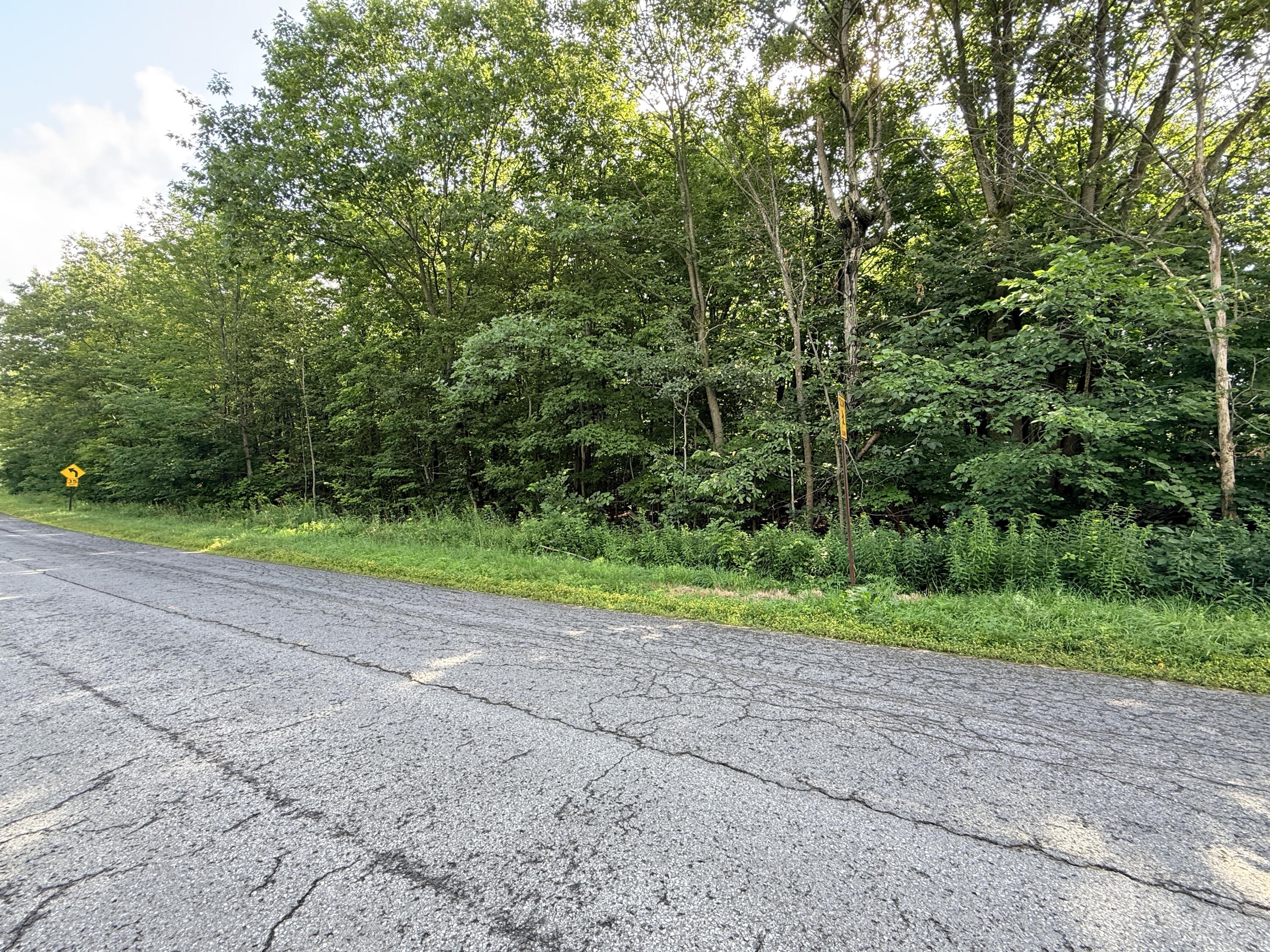 00 Dragoon Road Altona NY 12910