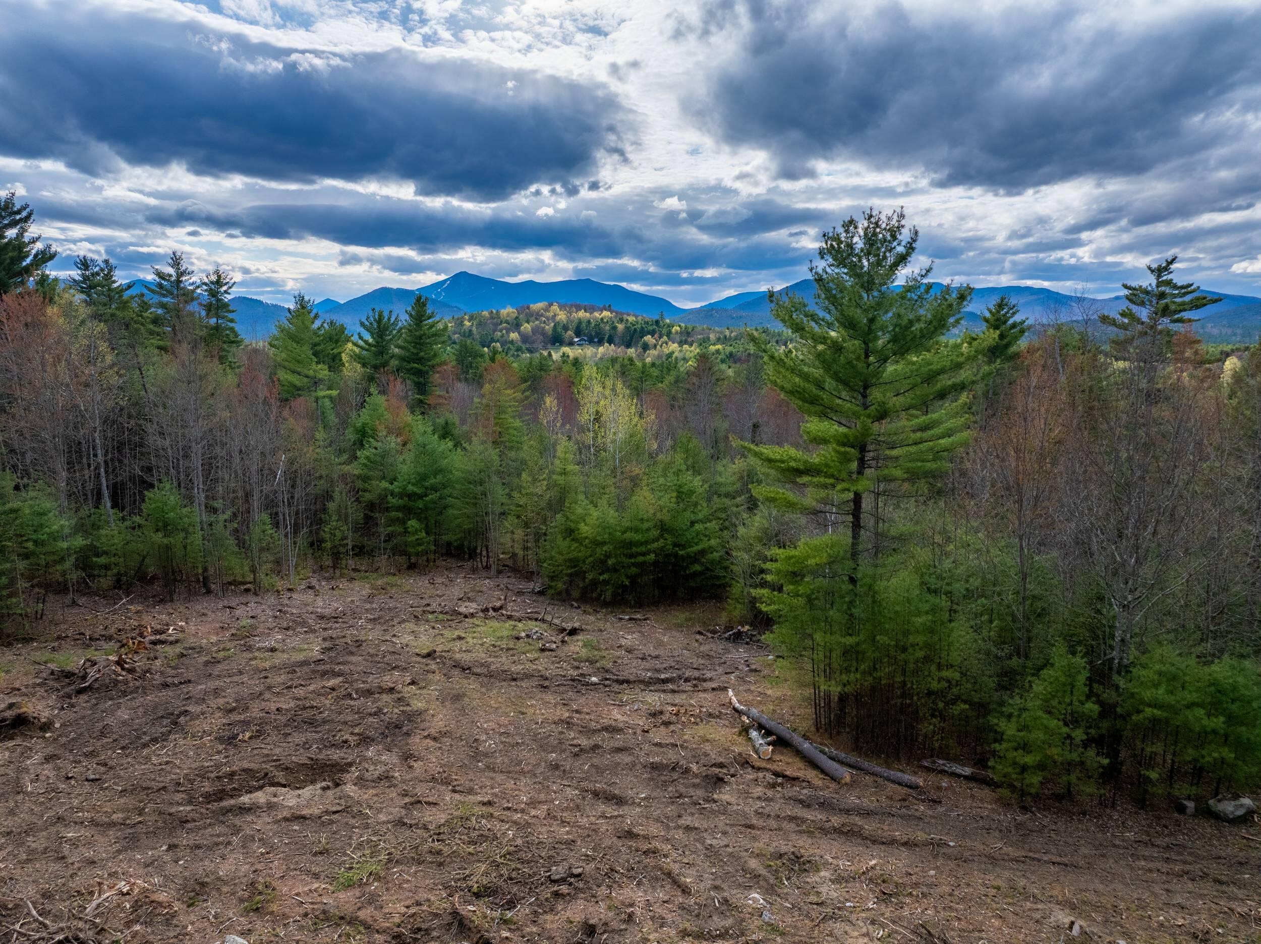 Lot 2 & 3 Wildernesscape Way Jay NY 12941