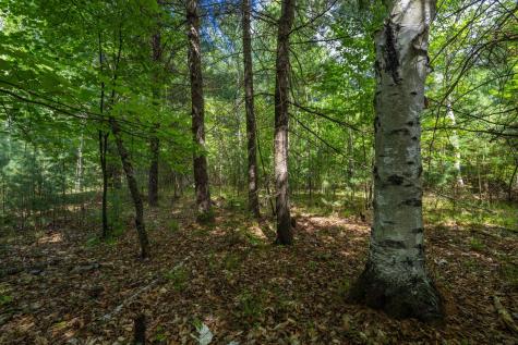 Lot 2 & 3 Wildernesscape Way Jay NY 12941