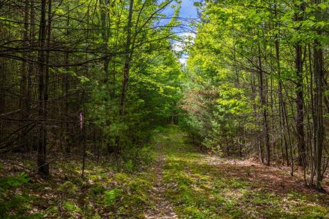 Lot 2 & 3 Wildernesscape Way Jay NY 12941