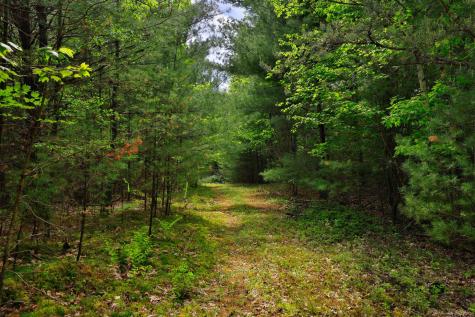 Lot 2 & 3 Wildernesscape Way Jay NY 12941