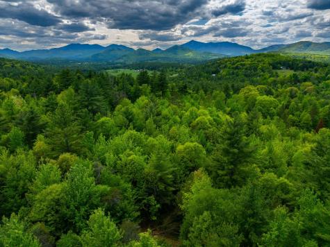 Lot 2 & 3 Wildernesscape Way Jay NY 12941