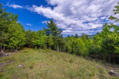 Lot 2 & 3 Wildernesscape Way Jay NY 12941