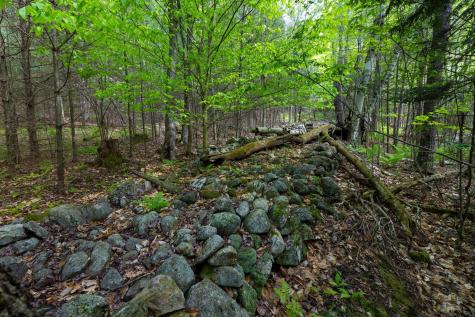 Lot 2 & 3 Wildernesscape Way Jay NY 12941
