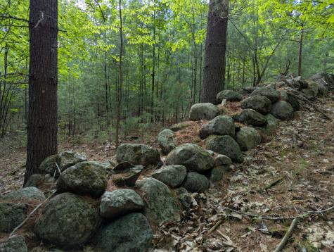 Lot 2 & 3 Wildernesscape Way Jay NY 12941