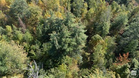 Lot 2 Styles Brook Road Keene NY 12942