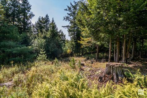 Lot 2 Styles Brook Road Keene NY 12942