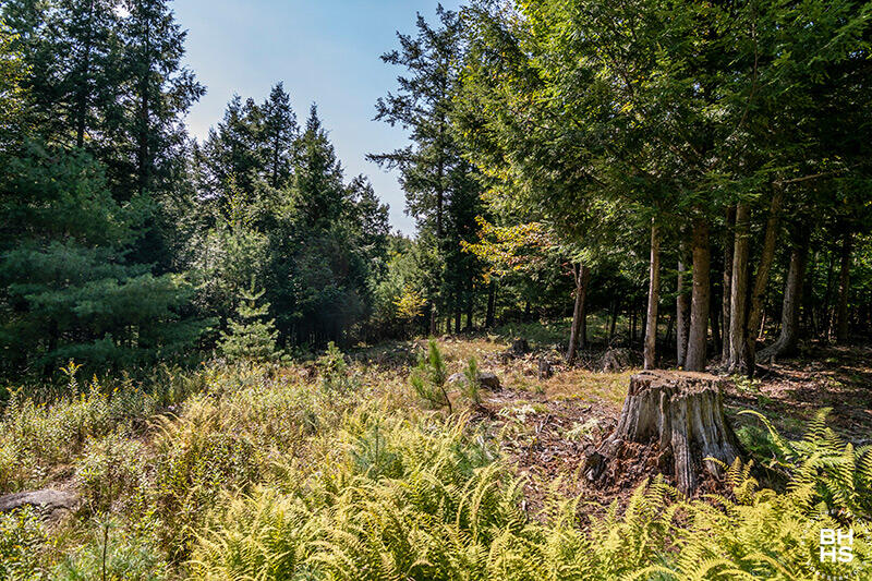 Lot 2 Styles Brook Road Keene NY 12942