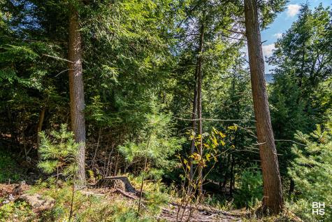 Lot 2 Styles Brook Road Keene NY 12942