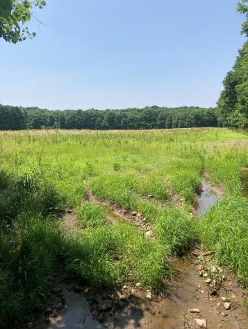 0 Heath Hill Road Dickinson Center NY 12930