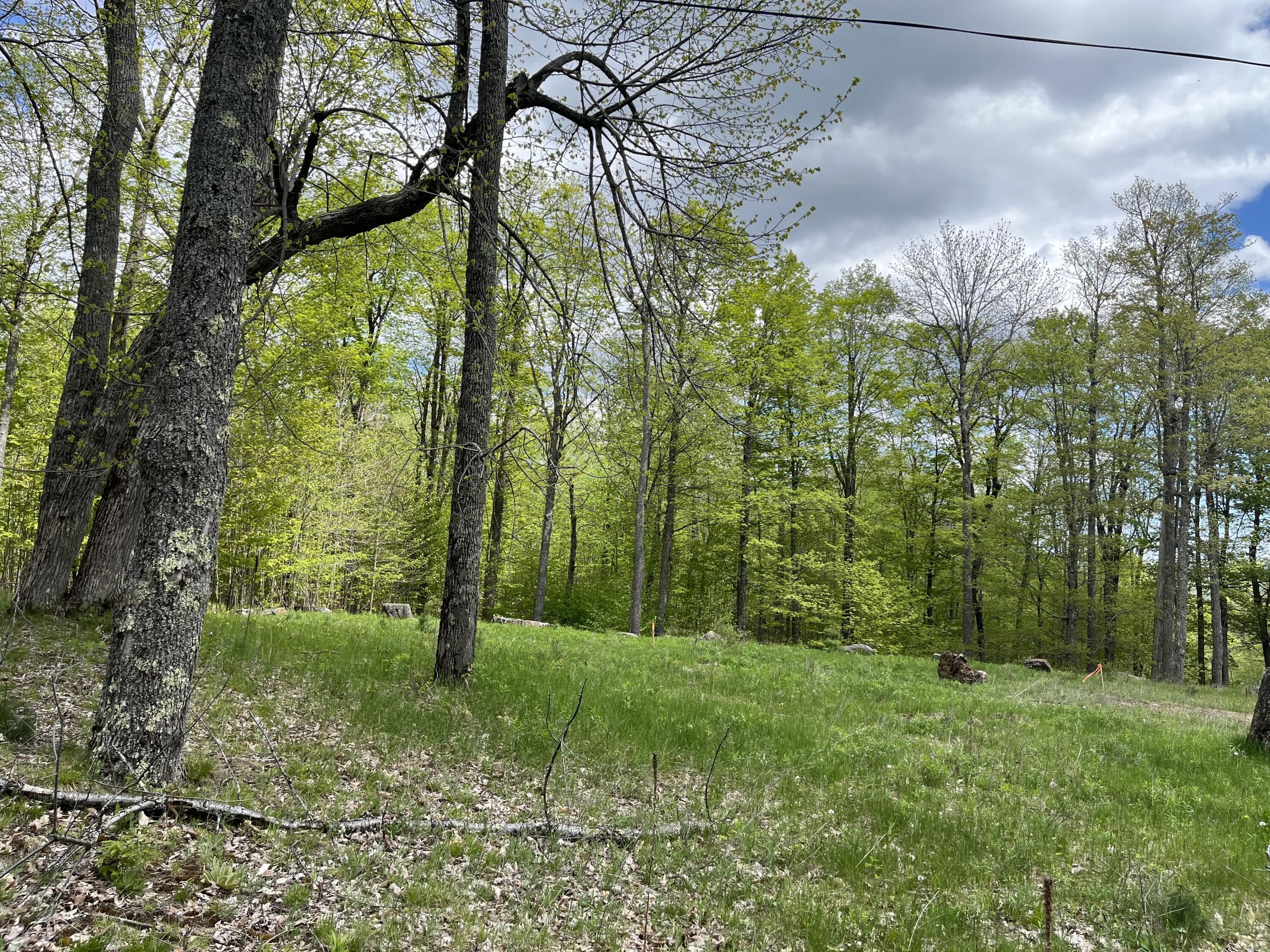 Lot 33 Mount Pisgah Park Saranac Lake NY 12983
