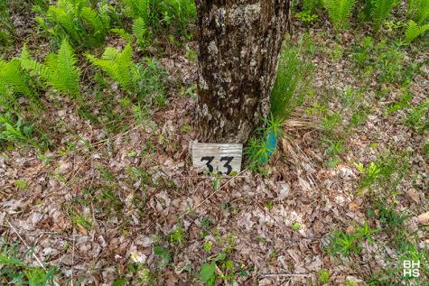 Lot 33 Mount Pisgah Park Saranac Lake NY 12983