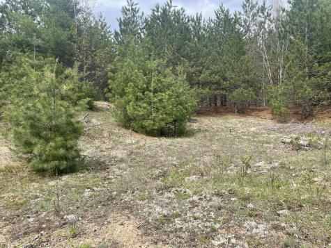 1911 Haselton Road Wilmington NY 12997