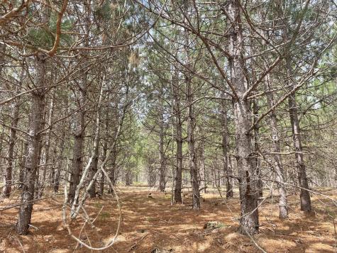 1911 Haselton Road Wilmington NY 12997