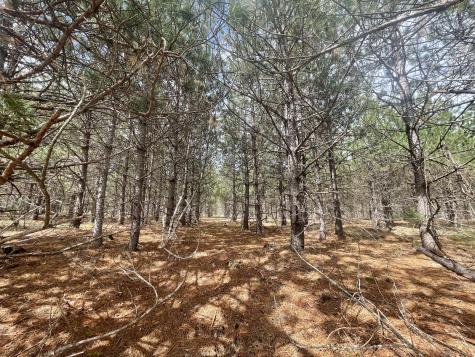 1911 Haselton Road Wilmington NY 12997