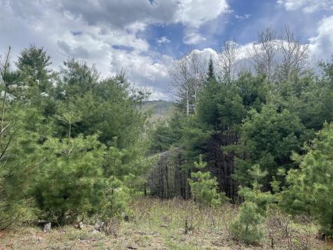 1911 Haselton Road Wilmington NY 12997