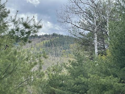 1911 Haselton Road Wilmington NY 12997