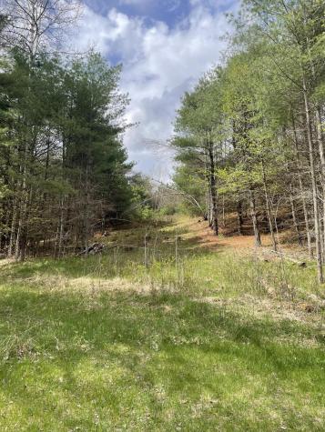 1911 Haselton Road Wilmington NY 12997