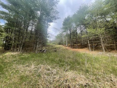 1911 Haselton Road Wilmington NY 12997