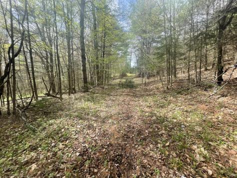 1911 Haselton Road Wilmington NY 12997