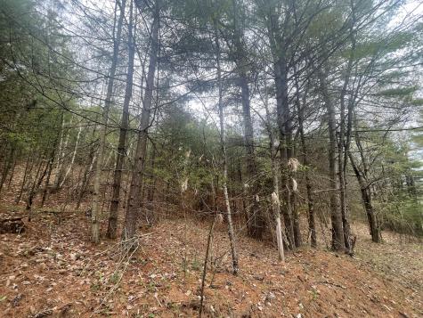 1911 Haselton Road Wilmington NY 12997