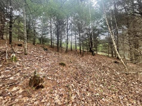 1911 Haselton Road Wilmington NY 12997