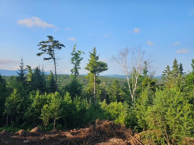 55 Jaelyn Way Vermontville NY 12989